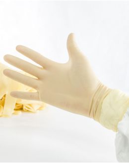 Disposable Latex Gloves 12” Non Sterile - Legacy