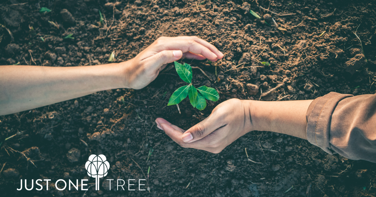 Cleanroomshop planting trees with JUST ONE Tree